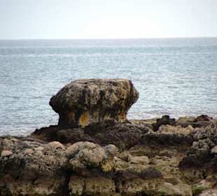 Felsenpracht