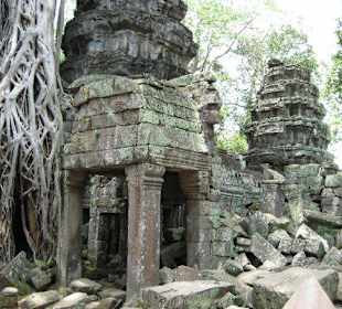 Angkor / Ta Prohm Tempel