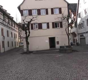 Narrenbrunnen