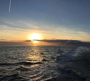 MS Helgoland