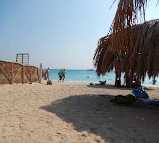 Ausflug Gifthun Insel