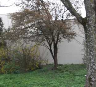 Stadthalle
