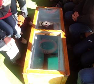 Angebliches GlasBODENboot