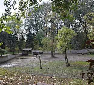 Zoo