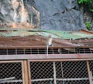 Tiger Cave Tempel (Wat Tham Sua)