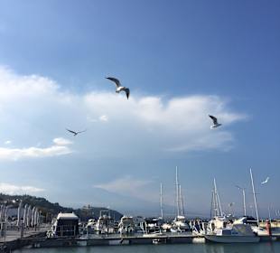 Fischereihafen Platamonas