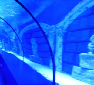 Geschichte unter Wasser