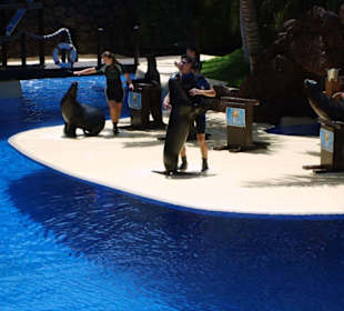 Oasis Park, La Lajita