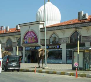 Am Eingang vom Selge Park