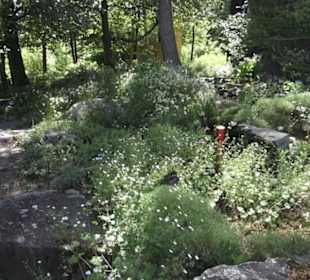 Botanischer Garten der Universität Zürich