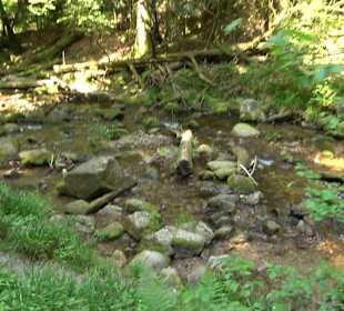 Wasserfälle Allerheiligen
