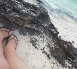 In den Felsen der Buchten 