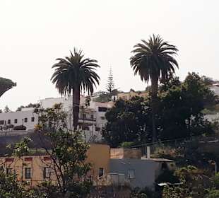 Inselrundfahrt AIDA Tagestour