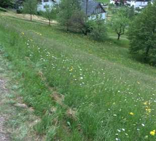 Barfußpfad Tieringen