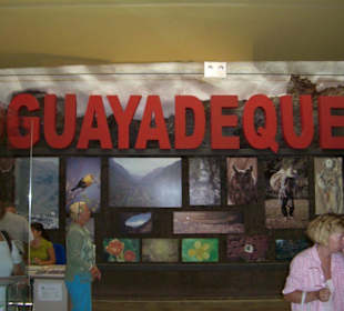 Museum Guayadeque