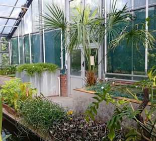 Botanischer Garten 