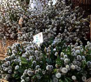 Ostersträuße auf dem Viktualienmarkt