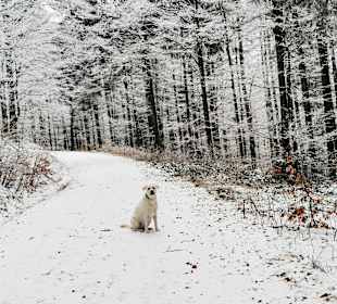 Wandern Mitterfirmiansreut