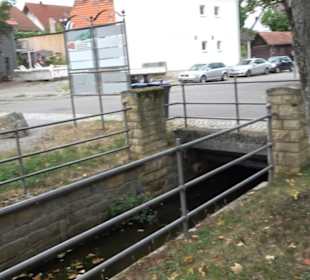 Backhaus