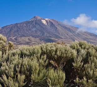 Las Canadas del Teide