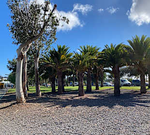 Inselrundfahrt Gran Canaria