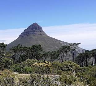 Lions Head