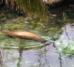Natur- und Erlebnispark Xcaret