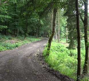 Schutzgebiet Spitzberg, Pfaffenberg