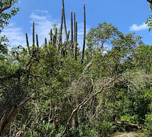 National Park of the East