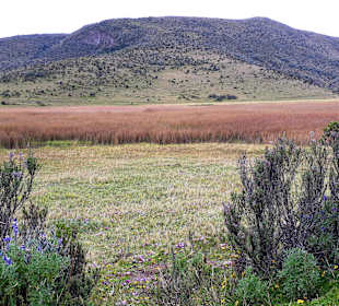 Cotopaxi Nationalpark