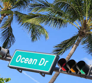 OceanDr