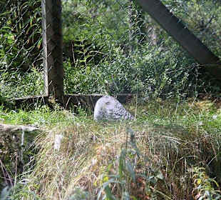 Zoo