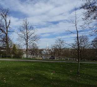 Rosensteinpark Übergang zu Schlossgarten