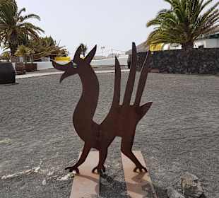 Weinmuseum und Kakteen-Ausstellung El Grifo