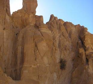 Sandstein des White Canyon