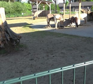 Kinder-Bauernhof