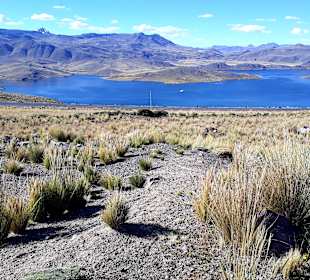 Laguna Lagunillas