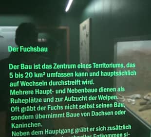 Jagdtier + Vogelkunde