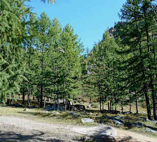 Gorkhi Terelj Nationalpark