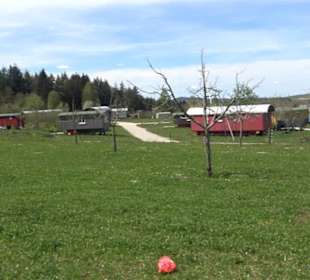 Streuobstwiesen der Hopfenburg