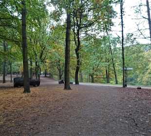 Rundgang durch den Wildpark Schwarze Berge