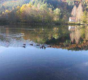 Der wunderschöne Helmbachweiher