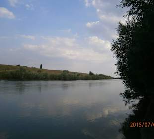 The Timis river near Cebza