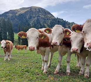 Rundwanderweg Berwang