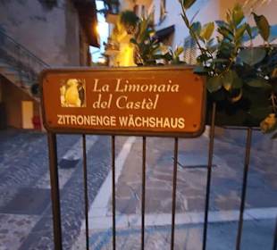 Am Zitronengewächshaus