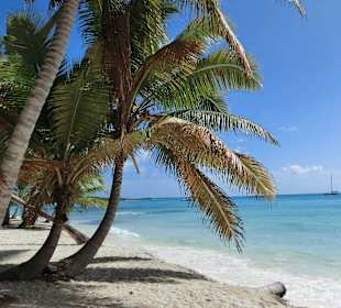 Saona: noch sind keine Touris da