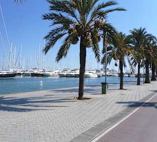 Hafen von Palma