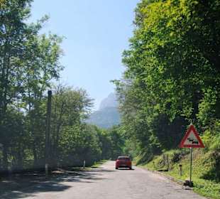 Endlich wird mal was gemacht