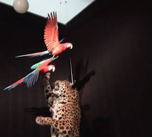 Museum für Naturkunde
