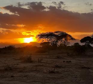 Shimba Hills National Reserve